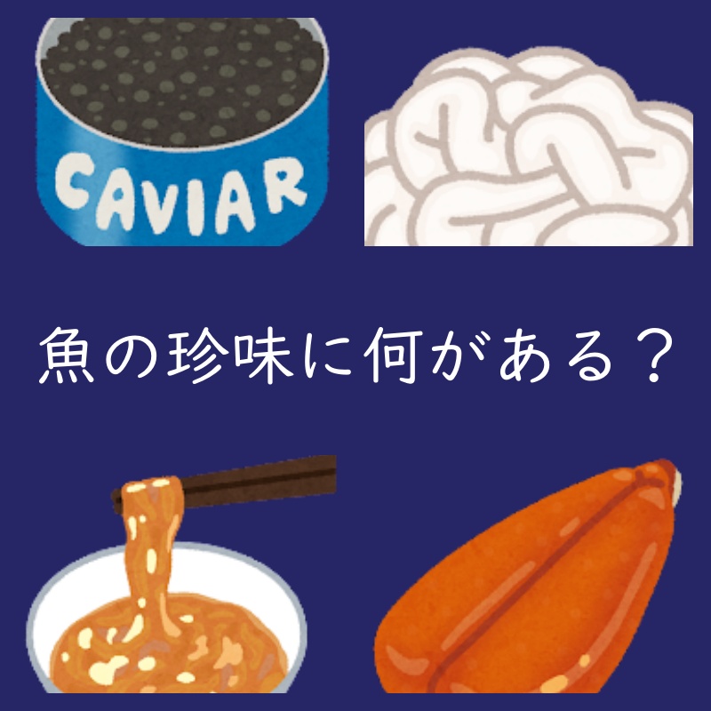 魚介の内臓を使った珍味に何がある?呼び方は?(おつまみ通販)